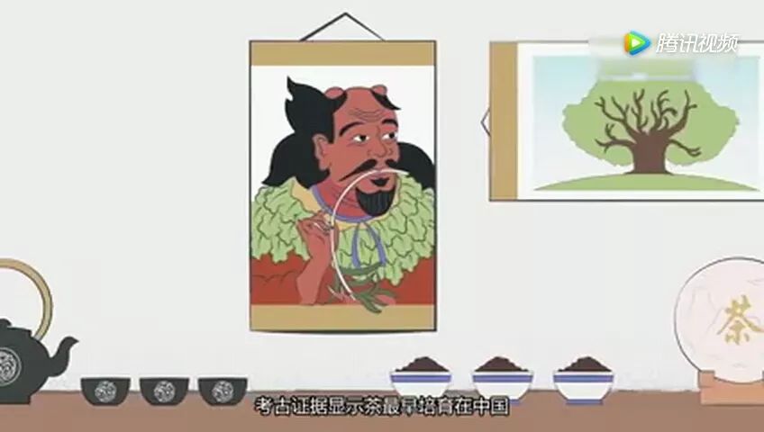 动漫短片丨趣谈茶的前世今生 一片叶子是如何影响世界的