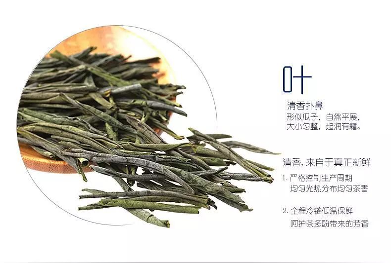 六安瓜片丨中国十大名茶之一 慈禧太后一辈子的膳食清单