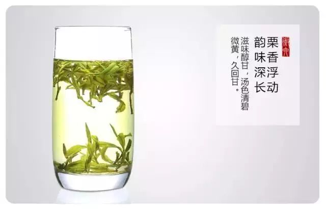 黄山毛峰丨名山名茶名天下，这个绿茶可了不得！