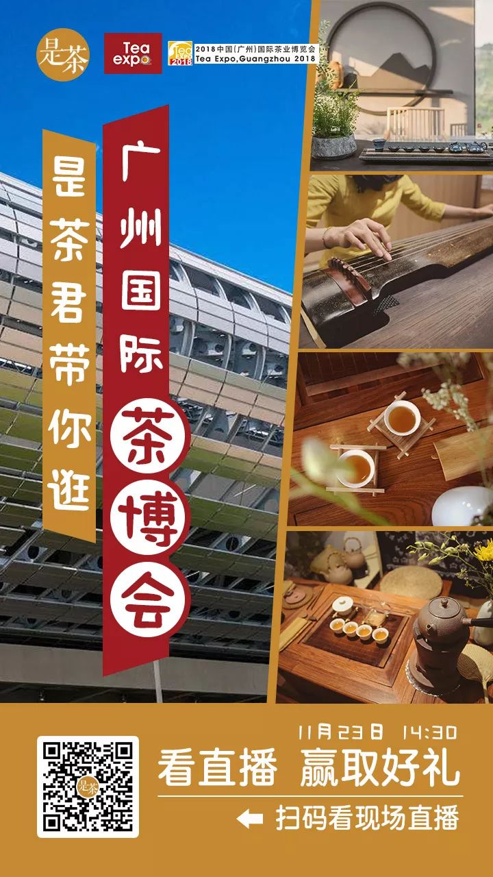 @所有人！见证年度茶业盛事 多场直播带你玩转广州秋季茶博会