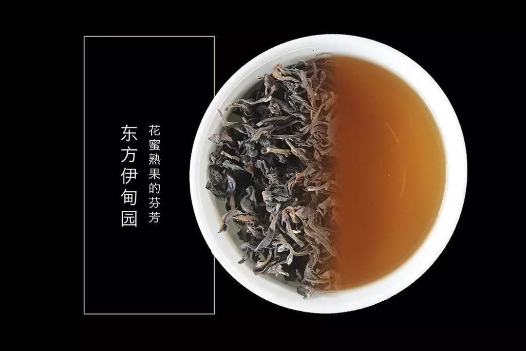 东方美人丨被虫子“咬坏”的茶，摇身一变茶界的“白富美”