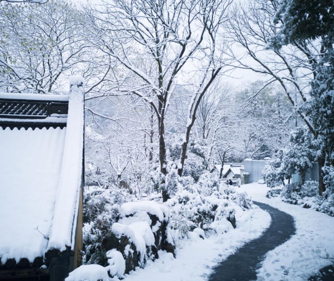 美图集｜雪后的杭州灵隐寺 带你走进白与空的世界