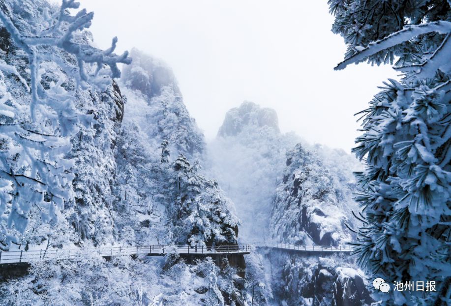 来看美景 | 一场雪，九华山成了水墨画，童话一般……