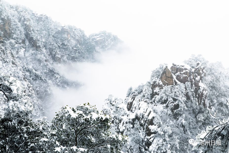 来看美景 | 一场雪，九华山成了水墨画，童话一般……