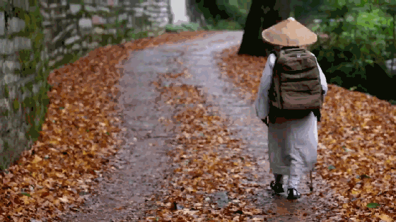 东林寺新春重磅纪录片《思归》：山水间持戒念佛 安顿游子漂泊的心