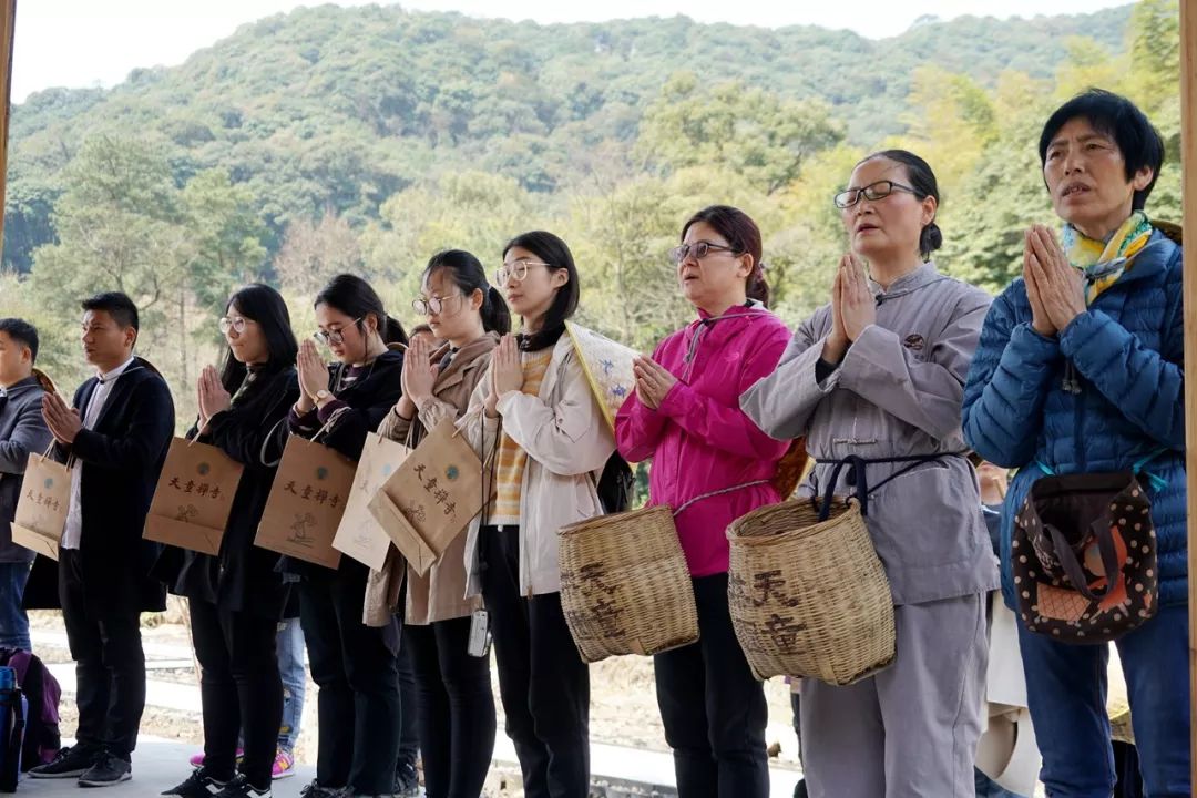 倡现代茶风 天童禅寺举行古天童茶园己亥年“明前茶”开摘及茶供仪式