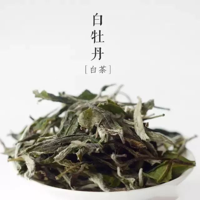 白牡丹丨安利！牡丹花变成的茶，喝起来都是花香扑鼻！