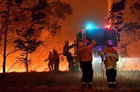 祈愿早日扑灭！5亿动物被烧、8000只考拉丧生……澳洲在失控的大火中悲鸣
