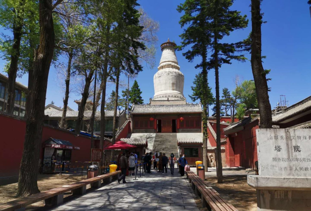 圣境资讯 | 五台山各寺院有序恢复开放，喜迎八方游客