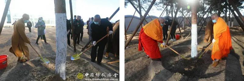 中国佛教协会新一届领导班子赴中国佛学院新校舍考察植树