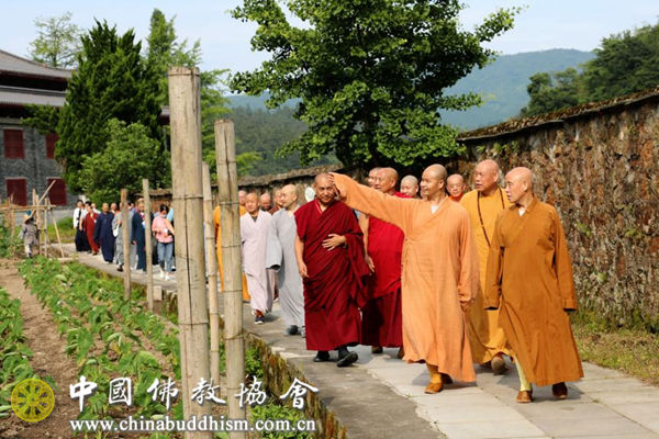 中国佛教协会举办“丛林清规与当代佛教制度建设座谈会”
