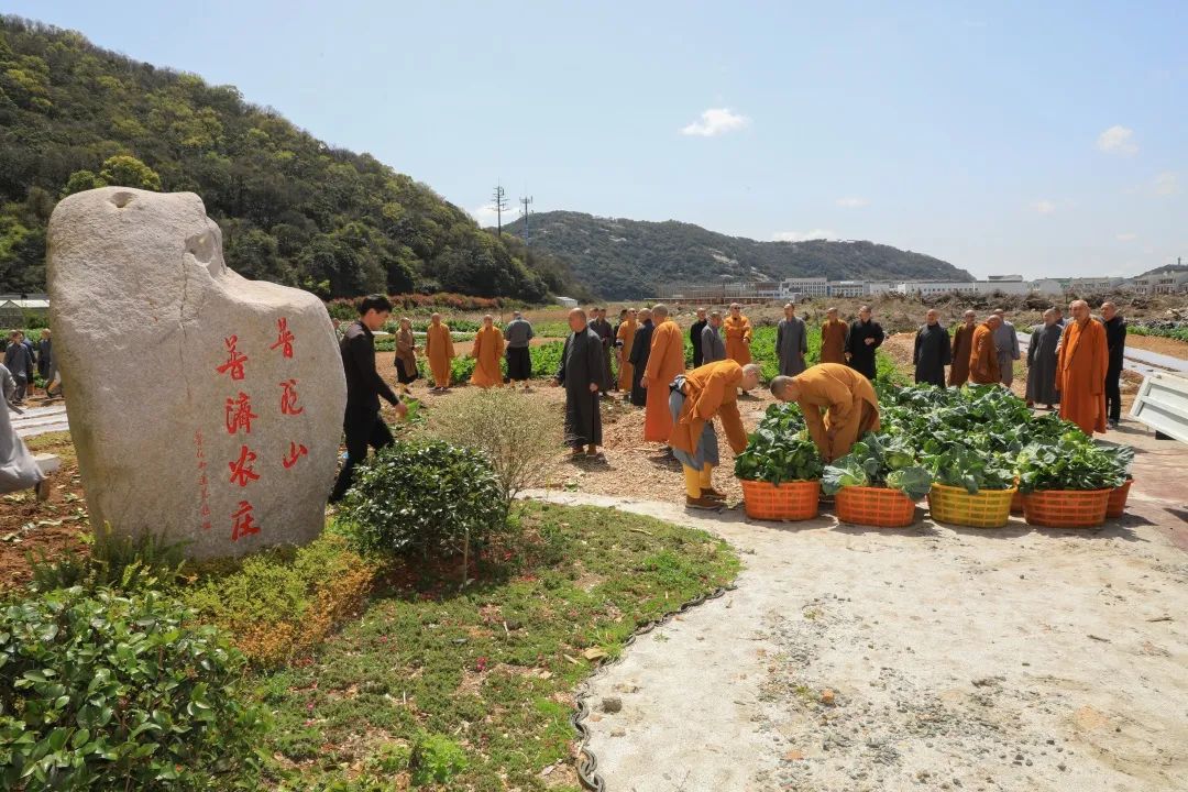 农禅｜普济农庄：普陀山一道美丽的风景