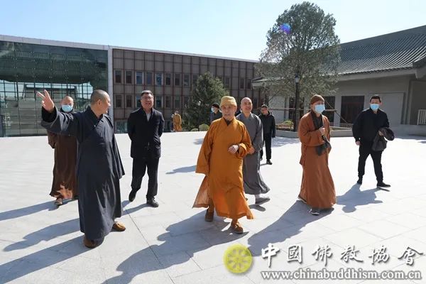 中国佛教协会与中国佛学院在凤凰岭新校区开展植树活动