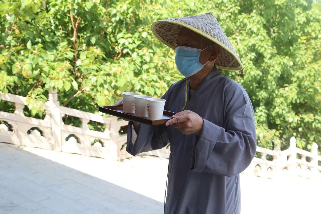 国际茶日｜南海佛学院禅茶系师生的奉茶活动