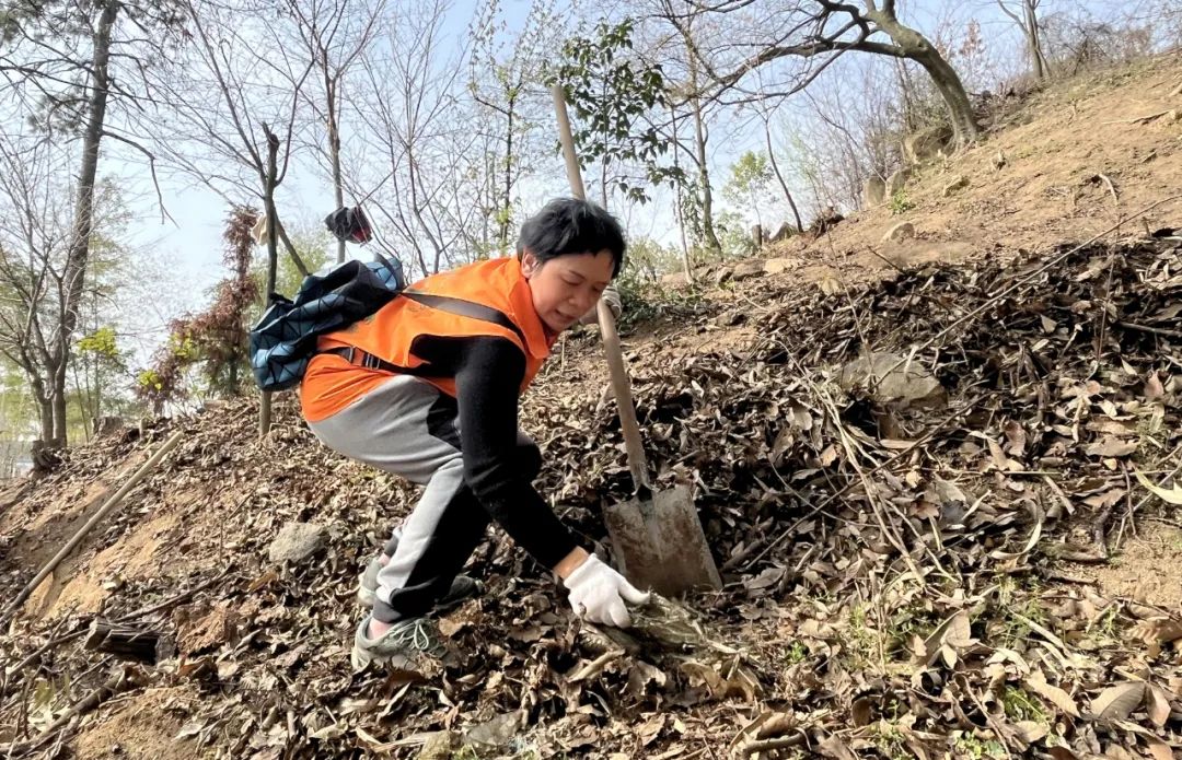 湖北法藏寺举办植树环保活动 共建绿色生态东方山