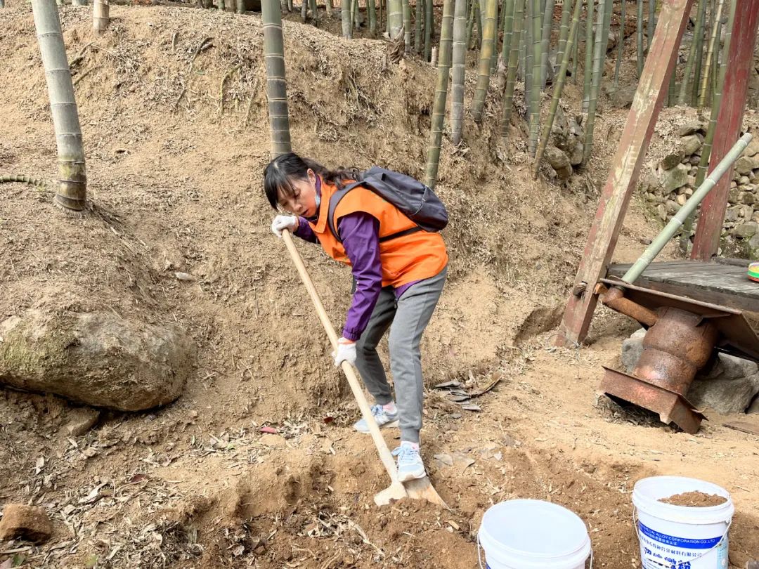 湖北法藏寺举办植树环保活动 共建绿色生态东方山